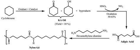 Nylon 6 Synthesis