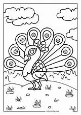Peacock Coloring Pages39  Free Printable coloring Pages Cute sketch template