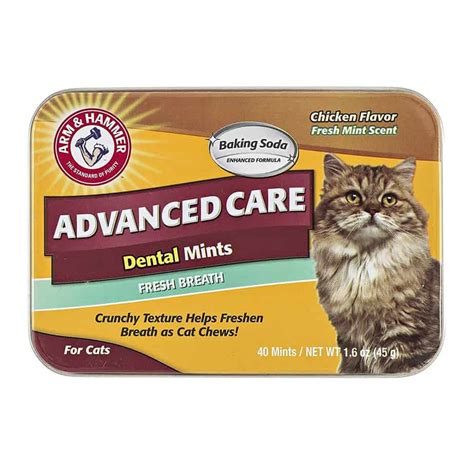 Best Cat Dental Products and Treats | OliveKnows