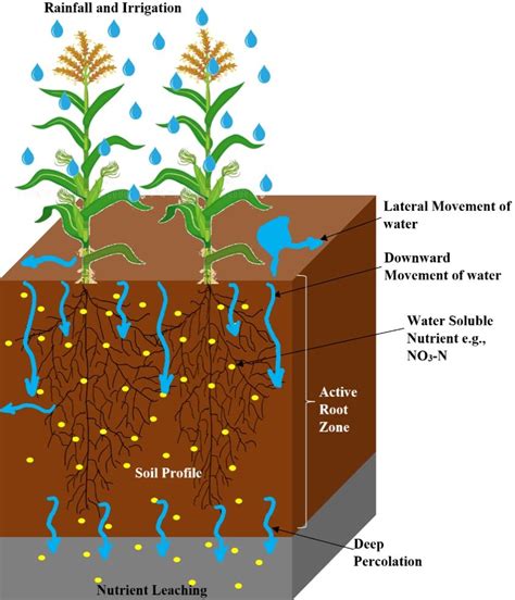 AE581/AE581: Methods to Quantify In-Field Nutrient Leaching