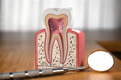 What is dentin?