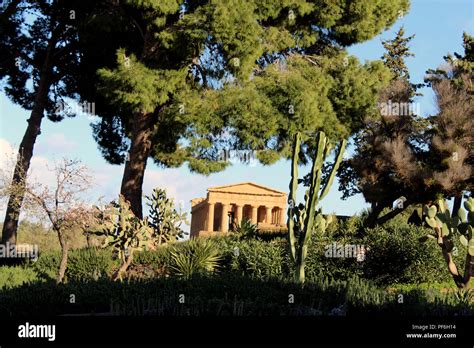 Valley of the Temples, Agrigento Stock Photo - Alamy