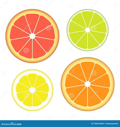 Set of Slices of Different Citrus Fruits Isolated on White Background. Juicy Fruit. Vector ...