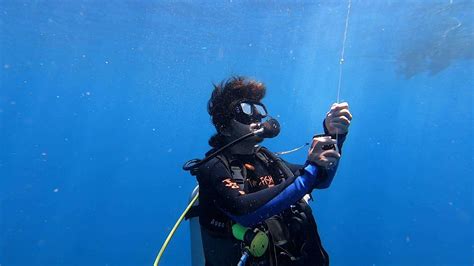 Diving Bunaken, Manado | Two Fish Divers - Indonesia