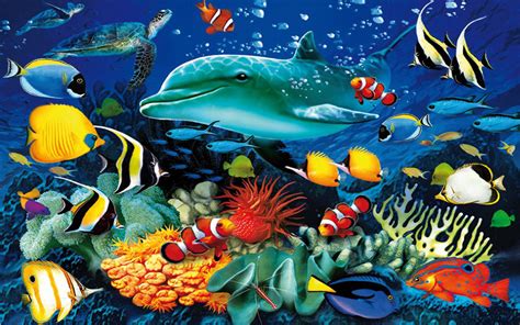 Ocean Animals Wallpaper (52+ images)