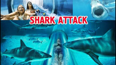 Горка Shark Attack в аквапарке Aquaventure Palm Jumeirah (Атлантис), Дубай ОАЭ - YouTube