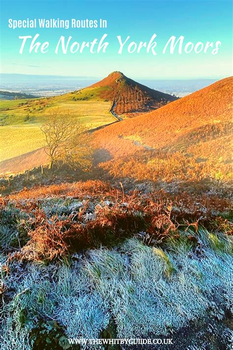 5 Unique Winter Walks In The North York Moors | North york moors, North ...