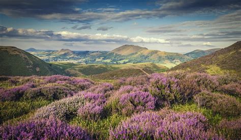 Shropshire Hills AONB