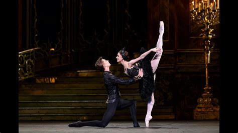 Swan Lake - Coda from the Black Swan pas de deux in Act III (The Royal Ballet) - YouTube