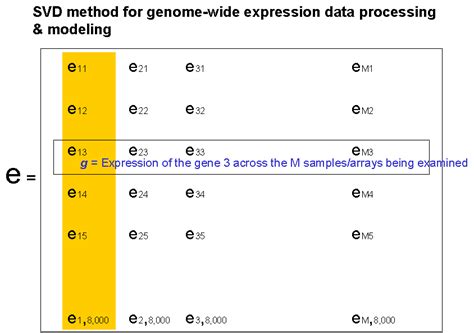 Gene Expression Analysis