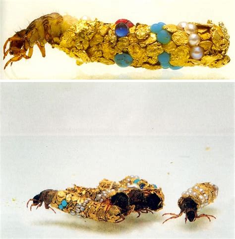 Artist Hubert Duprat Collaborates with Caddisfly Larvae as They Build ...