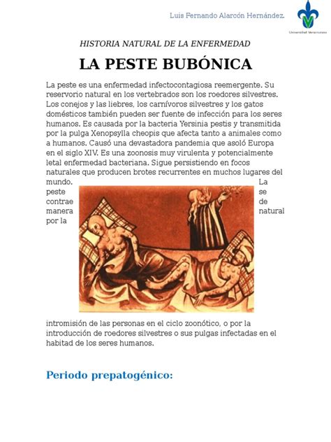 Historia Natural de La Enfermedad- Peste Bubonica | Plaga (Enfermedad) | Epidemiología