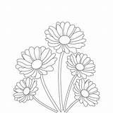 Daisy Coloring Flower Pages Outline Margarita Print Colouring Drawing  sketch template