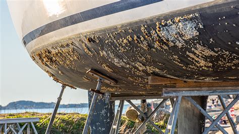 Maintaining water quality with sustainable ship antifouling