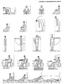 34 Anthropometric data ideas | human dimension, ergonomics design, how ...