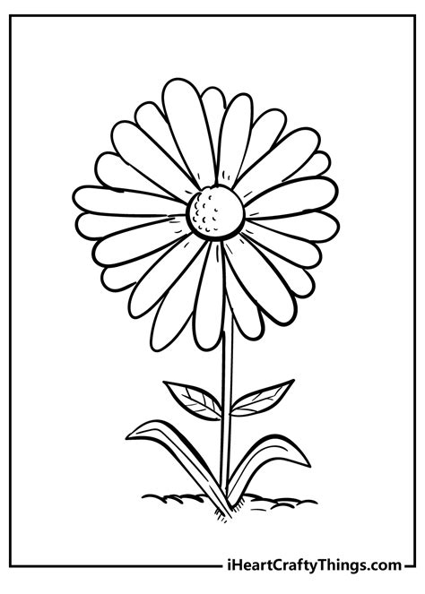 Daisy Flower Coloring Page