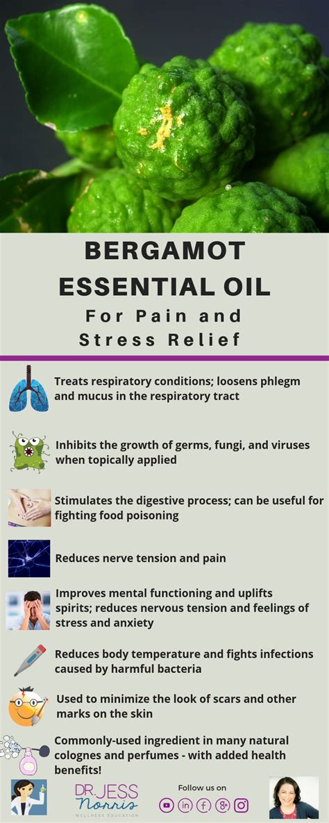 Pin on Essential Oil Infographics