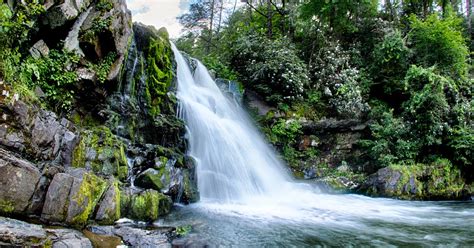 Abrams Falls Trail: Smoky Mountain Hikes - PigeonForge.com