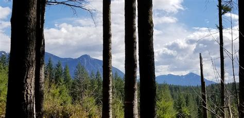 Snoqualmie Valley Trail Mountain Biking Trail - Fall City, WA