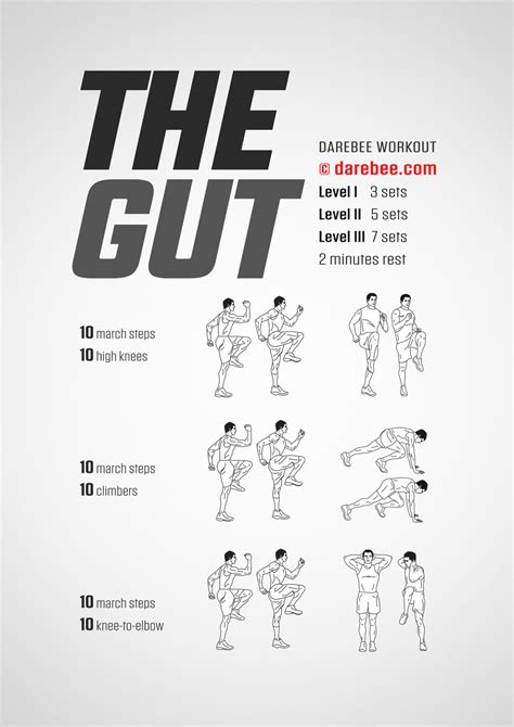 The Gut Workout