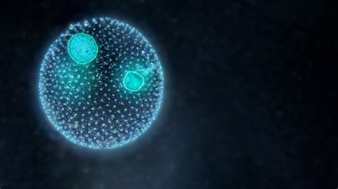 The Benefits and Limitations of Dark Field Microscopy