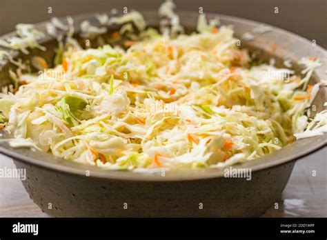 Sauerkraut fermentation in copper basin bowl. Cut white cabbage fermented by lactic acid ...