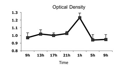 Daily changes in the concentrations of tryptophan hydroxylase enzyme ...