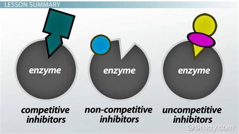 Enzyme Inhibitor: Definition & Examples - Video & Lesson Transcript | Study.com