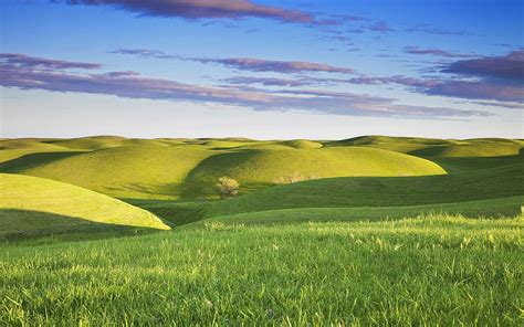 🔥 Free Download Grassy Hills Wallpaper Desktop by @yevans88 ...