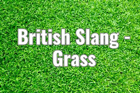 Grass or Snitch? Decoding ‘Grass’ in British Slang – Slang Sensei