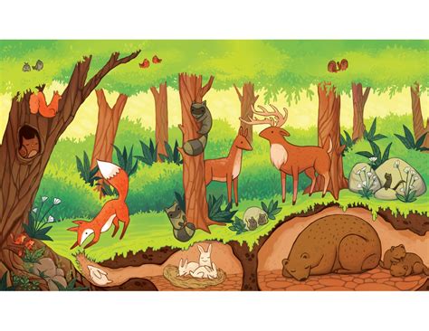 Forest ecosystem print Children's room artwork | Etsy