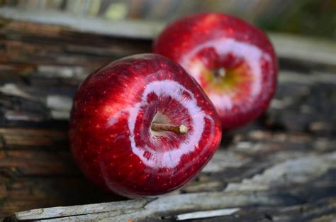 Red and Orange Apple Fruit · Free Stock Photo