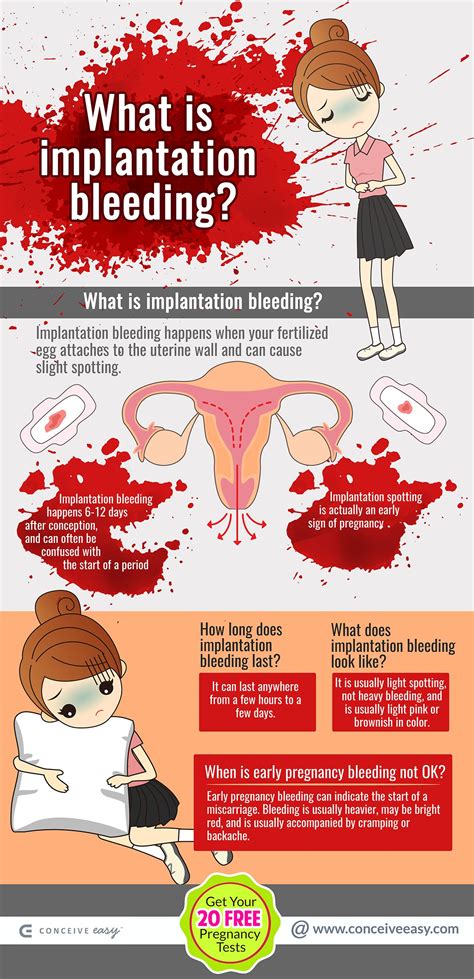 Implantation Bleeding or Early Pregnancy Bleeding Infographic | by ...