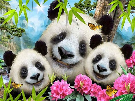 Panda family, two, smiling, family, mom, cubs, HD wallpaper | Peakpx