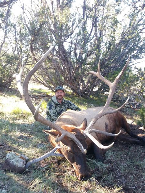 Mark's Giant Arizona Bull Elk - MonsterMuleys.com