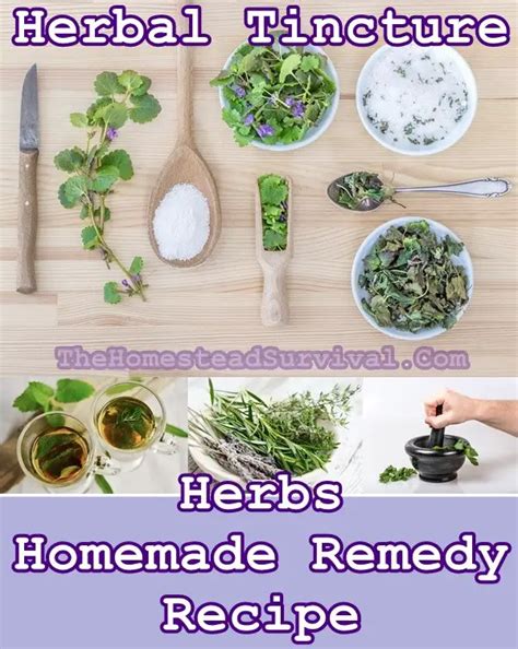 Herbal Tincture Herbs Homemade Remedies Recipe - The Homestead Survival