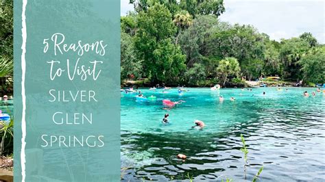 Silver Glen Springs: 5 Reasons Your Family Should Visit - Jacksonville Beach Moms