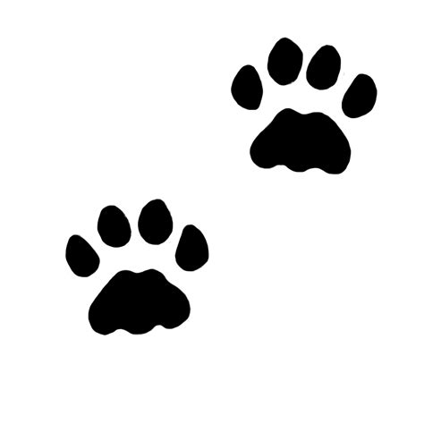 Cat S Paw Png Png Image Collection | The Best Porn Website