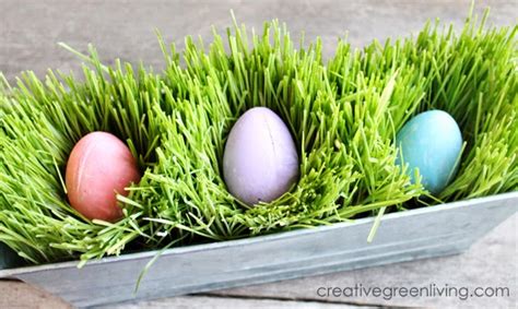 Fun Ways to Grow Your Own Easter Grass – My List of Lists | Find the ...