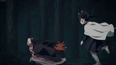 Nezuko Kamado Kanao Tsuyuri GIF - NezukoKamado KanaoTsuyuri Run ...