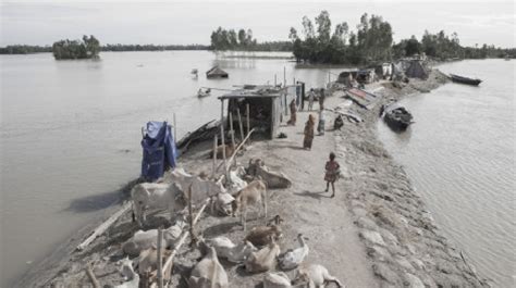 Bangladesh could save billions by early climate adaptation - Bangladesh ...