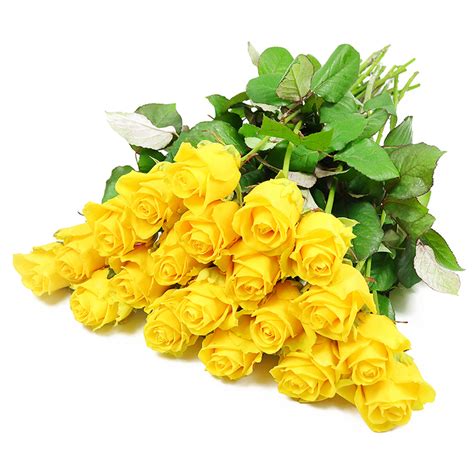 Yellow Roses Service Arrangement by Handy Flowers