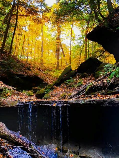 Shades State Park, Indiana | Cool places to visit, Indiana cities ...