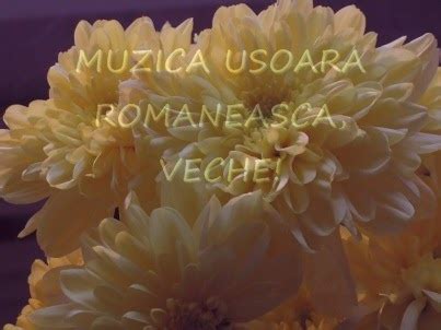 Melodor - Muzica sufletului nostru!: MUZICA USOARA ROMANEASCA, VECHE!