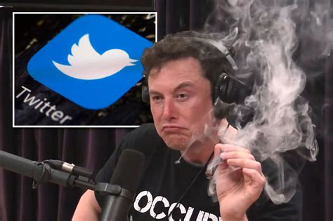 Price of Elon Musk's Twitter bid is yet another pot joke