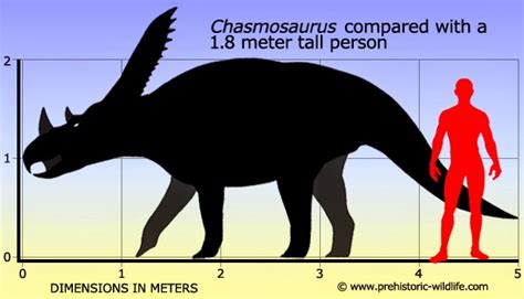 a mesozoic field guide: Chasmosaurus