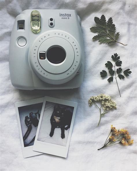 Sale > aesthetic instax pictures > in stock