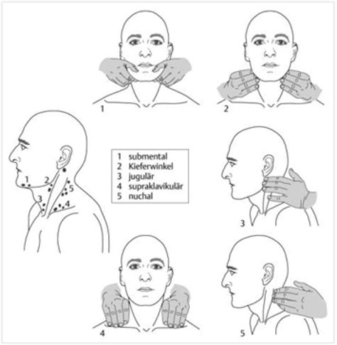 Examination of the neck and throat lymph nodes | Crafta.org