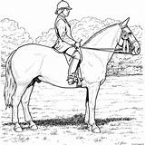 Equestrian Coloring Pages sketch template
