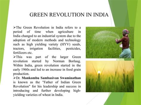 Green revolution in India